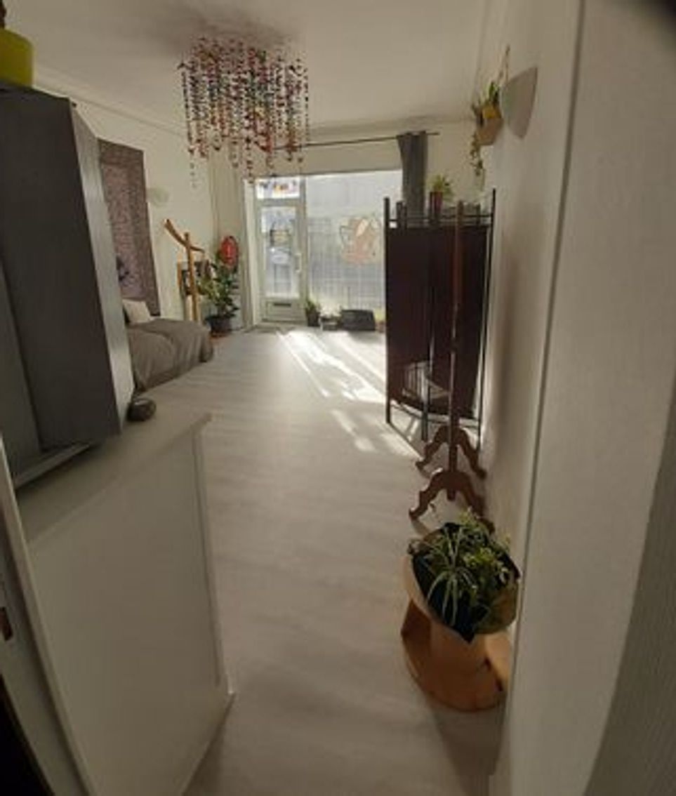 Photo de la boutique Les Showrooms de l'île de Nantes 5