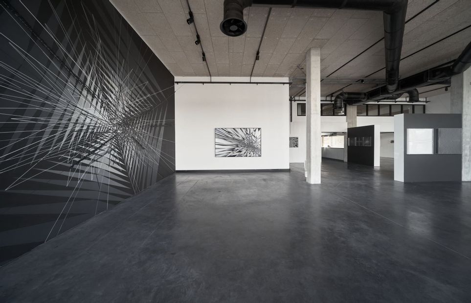 Photo de la boutique Galerie bord de Seine 2