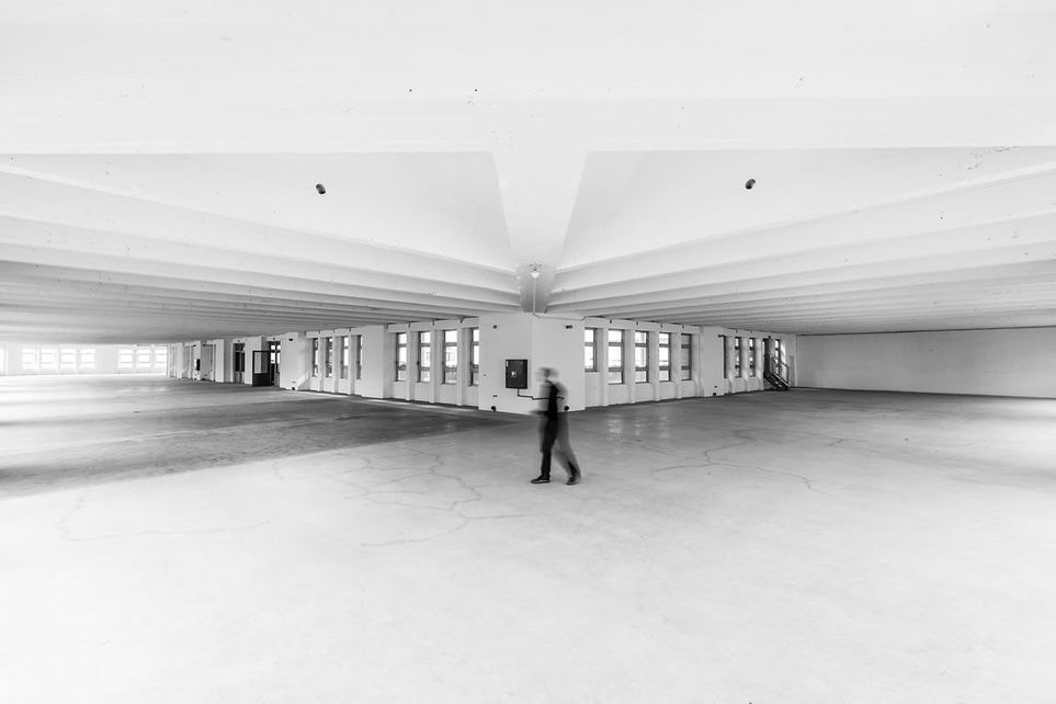 Photo de la boutique Espace Forest 2